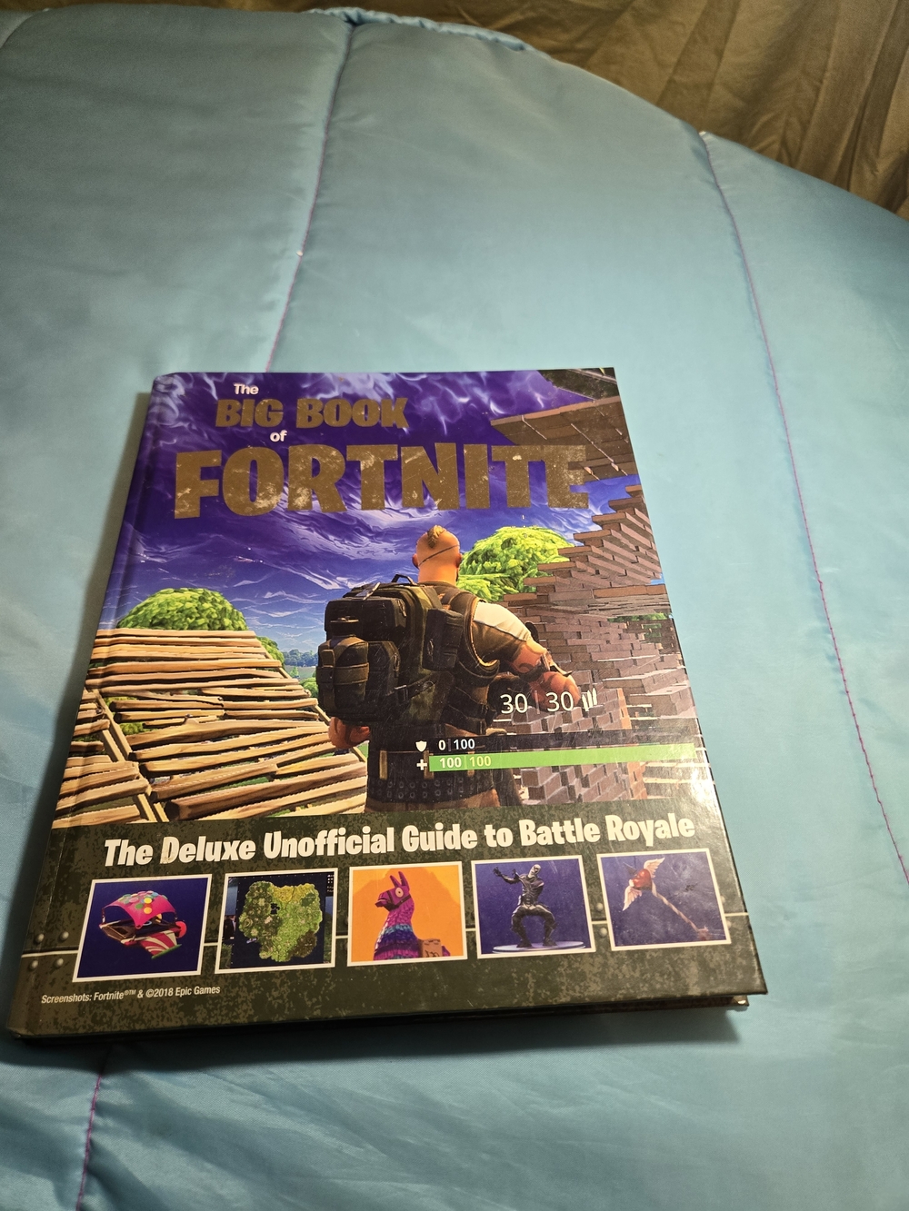 The Big Book of Fortnite Hardcover Triumph Books EUC Video Game Book w Tips